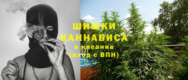 прущие грибы Абдулино