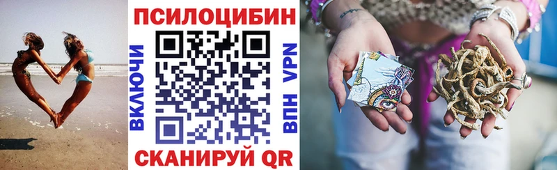 Псилоцибиновые грибы мицелий  Красновишерск 